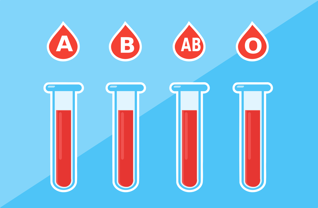 Ka 4 grupe gjaku - A, B, AB, O